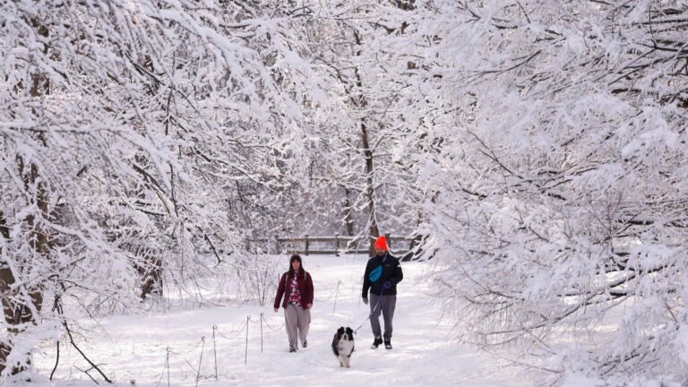 Snow totals: See which Mass. towns got hit hardest this past weekend插图