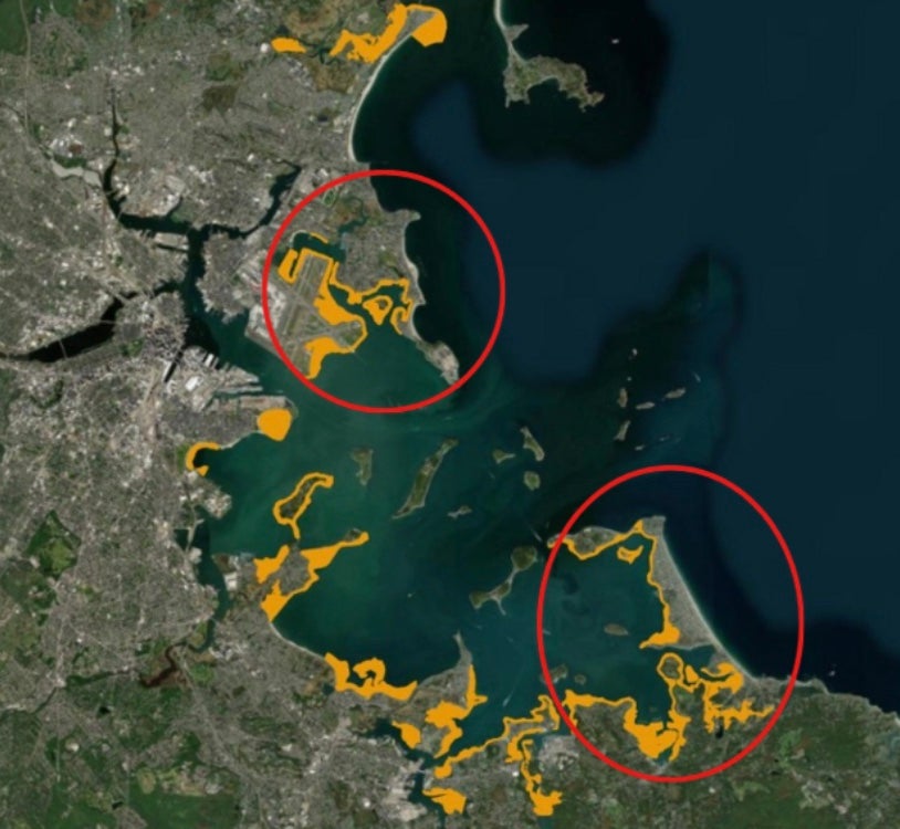 Parts of Boston Harbor meet shellfish consumption standards for first time in 100 years, state says插图1 Parts of Boston Harbor meet shellfish consumption standards for first time in 100 years, state says插图1