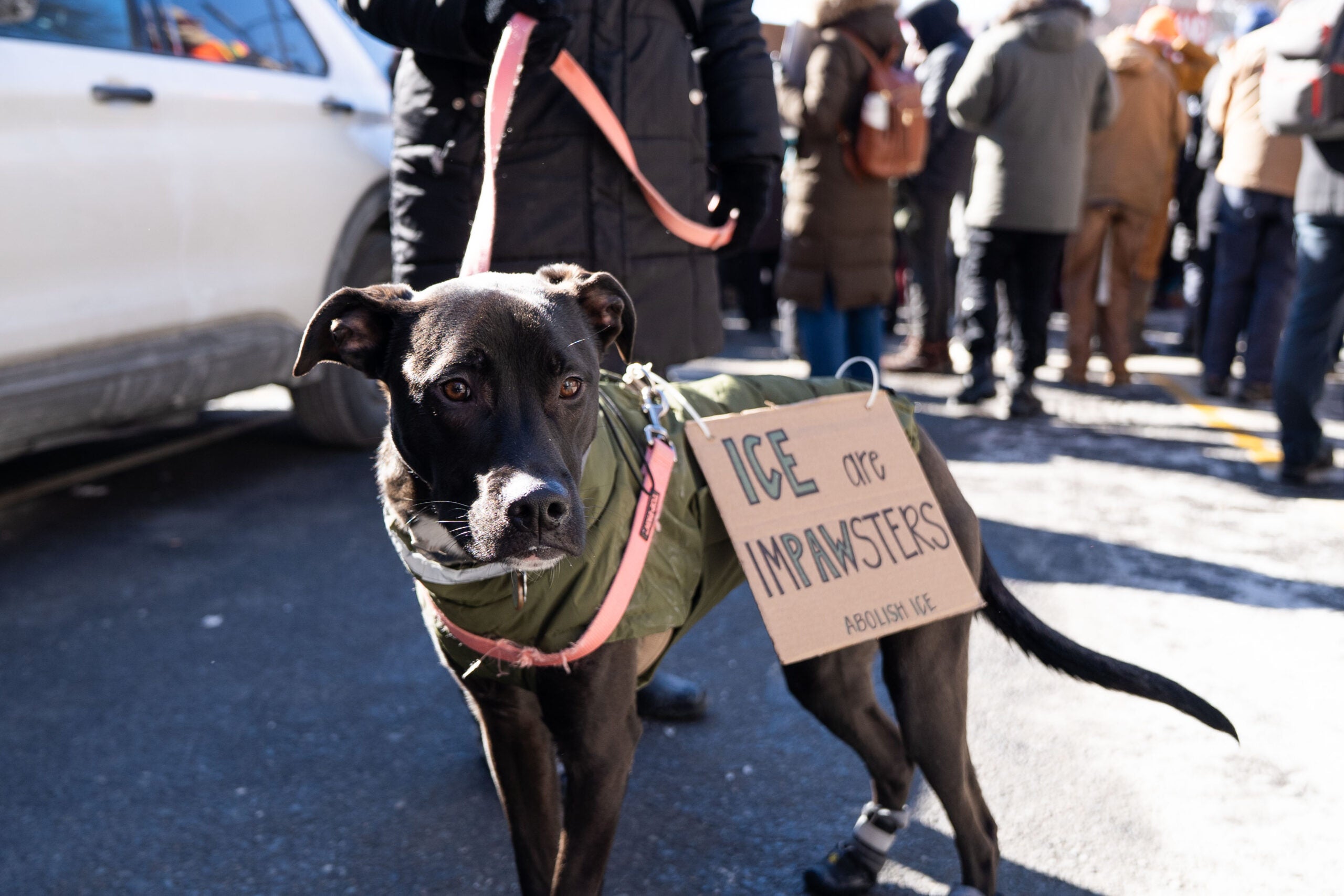 Photos from Boston’s ‘ICE Out Everywhere’ protest插图9 Photos from Boston’s ‘ICE Out Everywhere’ protest插图9