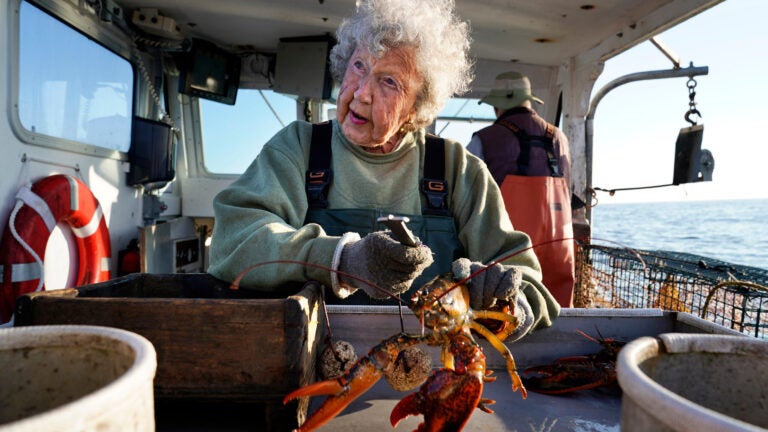 Maine's 'lobster lady' Virginia Oliver, who worked decades in the lobster industry, dies at 105
