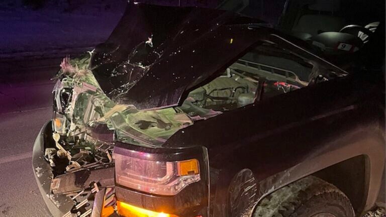 A Chevy Silverado hit a moose in N.H. The truck was totaled, and the moose walked away, police say.