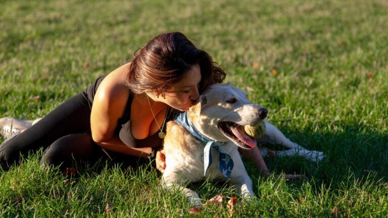 ‘Nightmare trying to find a place’: New campaign seeks to end pet discrimination in Mass. rentals插图