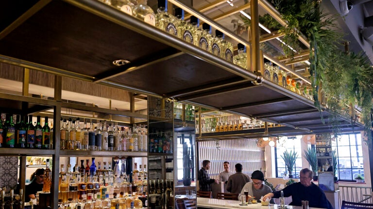 Painted Burro Brookline was damaged in a fire last week (Harvard Square branch seen here).