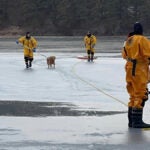 Chatham fire officials rescued a 4-year-old golden retriever after she fell through the ice on Goose Pond.