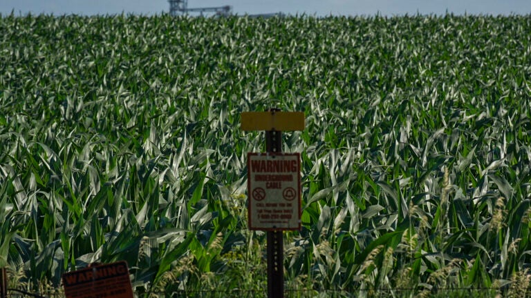 After study is retracted, new concerns are sprouting over Roundup weedkiller