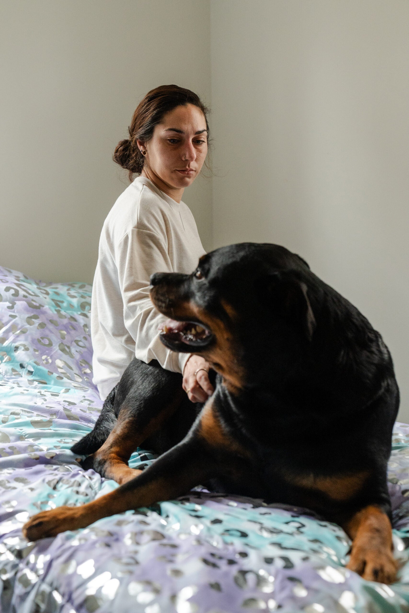 Ashley Kimball in her bedroom in Raynham, Mass., with Walther, the dog she shared with her husband, TJ Kimball. 