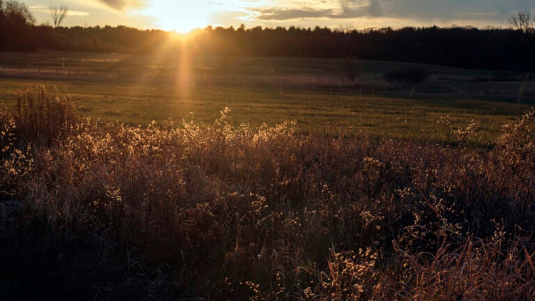 At Middlebury, she hoped to start fresh. In Trump's America, it seemed impossible.