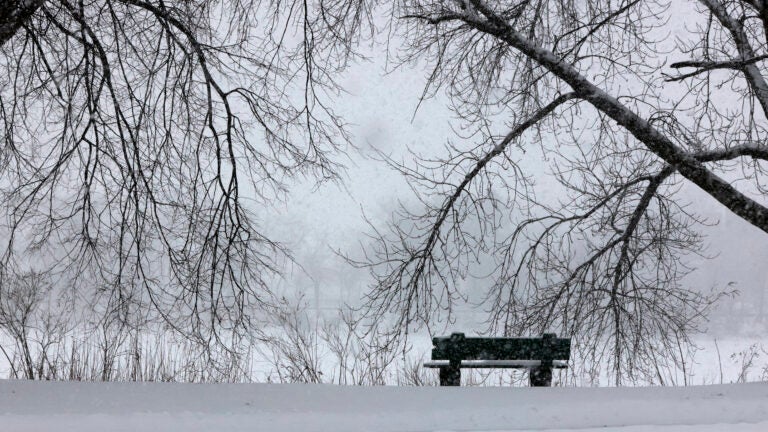 No snow day at Harvard – they’re open插图