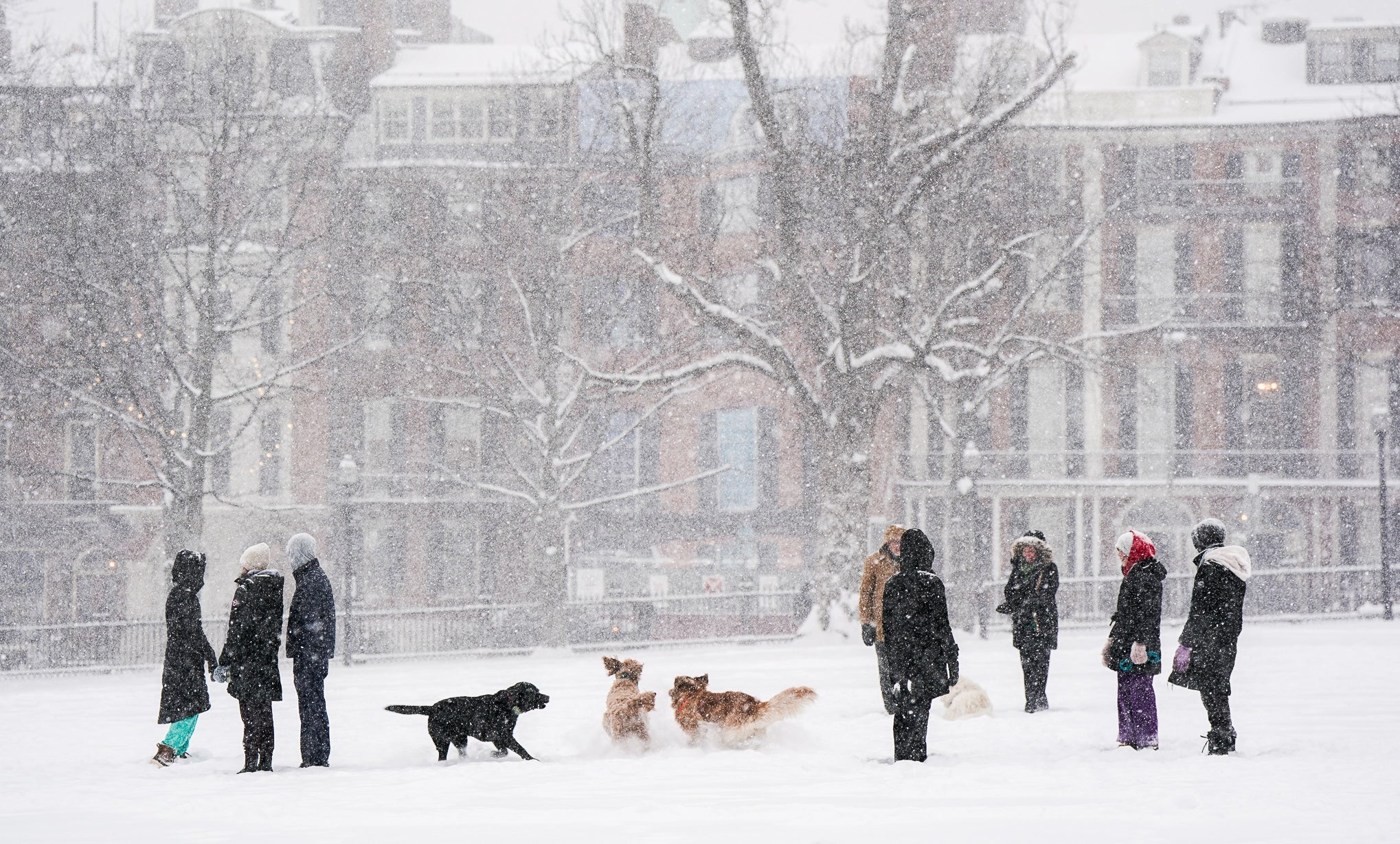 Photos: Scenes from the snowstorm striking Massachusetts