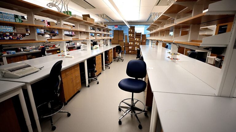 ‘My scientific career is essentially over.’ A brain drain imperils Massachusetts’ biomedical future.