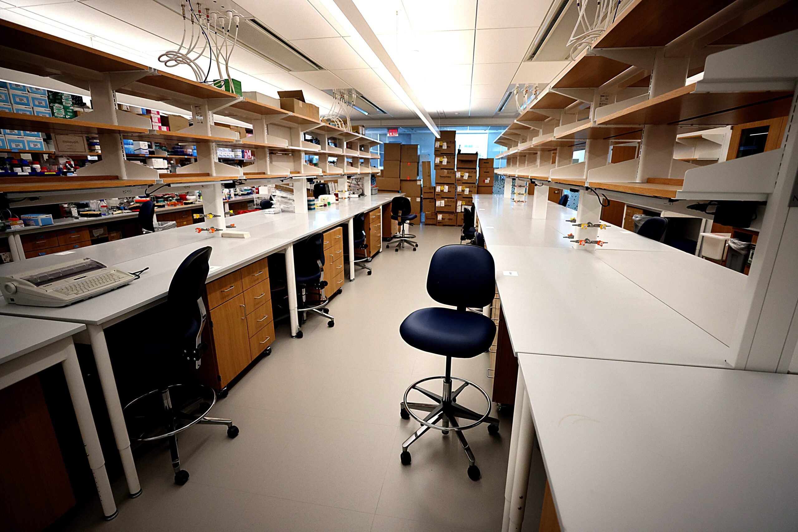 boston.com - The Boston Globe - 'My scientific career is essentially over.' A brain drain imperils Massachusetts' biomedical future.