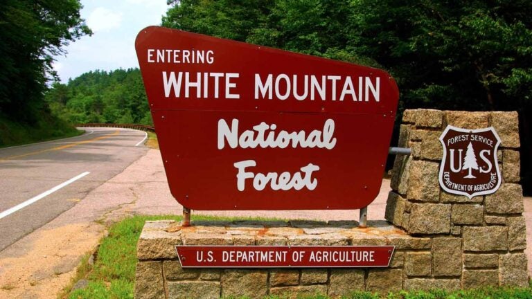 Mass. hiker rescued from White Mountains after medical issue Mass. hiker rescued from White Mountains after medical issue