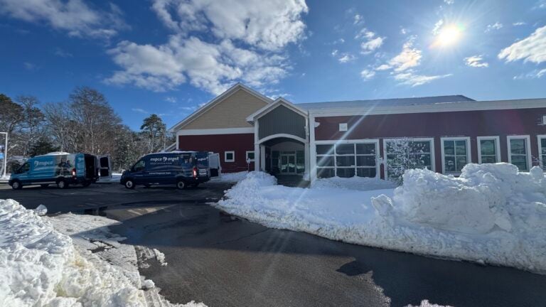 MSPCA-Angell evacuates nearly 50 animals, opens shelter to pets from Cape homes without power