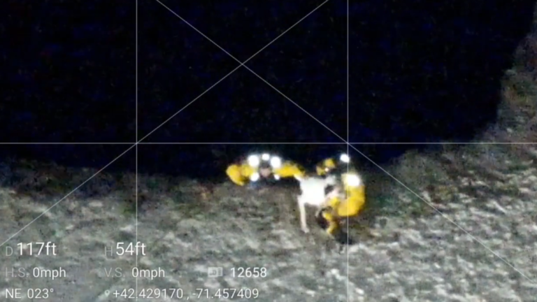 Maynard fire and police crews rescue a stranded dog from the frigid waters of Mill Pond.