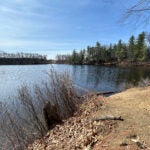 The infant, referred to as Baby Jane Doe, was found dead in Pine Island Pond last year.