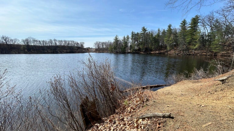 The infant, referred to as Baby Jane Doe, was found dead in Pine Island Pond last year.