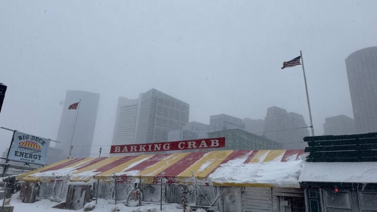 Barking Crab during the 2026 blizzard