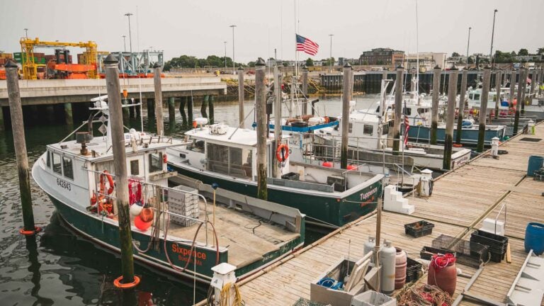 Board a lobster boat and dine on your catch while staying at this Boston hotel