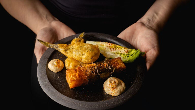 Shipwright's Daughter