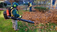 'Where does it end?': Readers react to gas-powered leaf blower bans