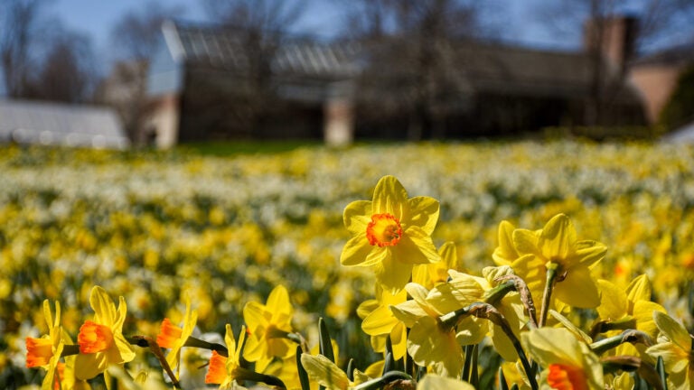 New England Botanic Garden at Tower Hill