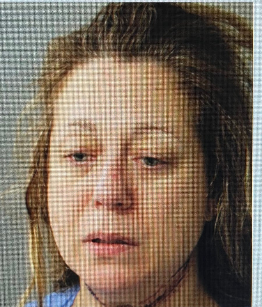 Wellesley mother accused of killing her 2 children appears in court