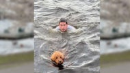 Man jumps into frigid Charles River to save dog chasing geese