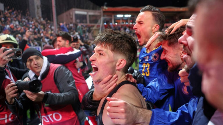 Esmir Bajraktarevic World Cup