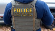 Report: Nearly half of ICE arrests had no criminal record or charge