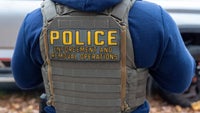 Report: Nearly half of ICE arrests had no criminal record or charge
