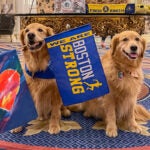 Boston Marathon dogs Spencer and Penny
