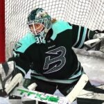 PWHL Your guide to the Boston Fleet in the PWHL playoffs: How they got there, how they match up, and how to watch