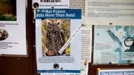 Rat poison harms wildlife across the state. Major restrictions could be on the way.
