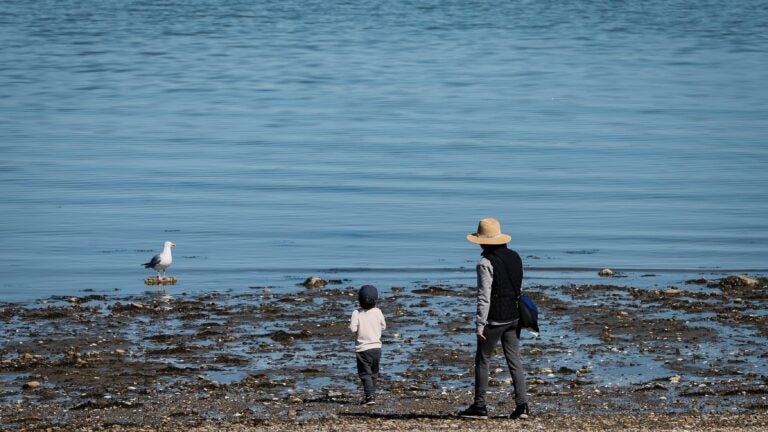 Here are the Mass. beaches closed Wednesday as temps hit the high 80s