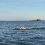 Swimming 2 women attempt to swim from Marblehead to Scituate to qualify for Ireland marathon swims