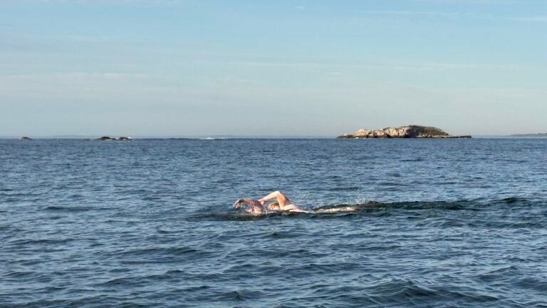 2 women attempt to swim from Marblehead to Scituate to qualify for Ireland marathon swims