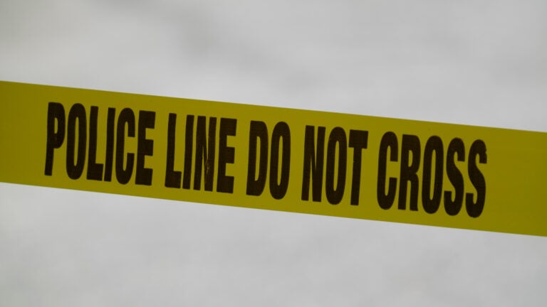 Man accused of hitting, killing woman in Mattapan with carjacked car Man accused of hitting, killing woman in Mattapan with carjacked car