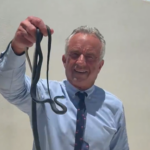 🐍🐍 In viral video, RFK Jr. snatches snakes on Dr. Oz's patio