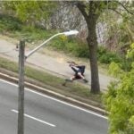 Memorial Drive Trooper who helped take down Cambridge gunman hailed as hero 3 min read