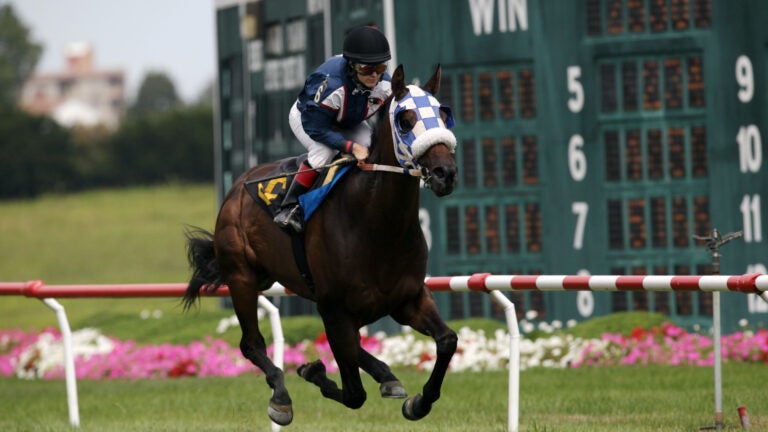 Equestrian retailer Dover Saddlery warns of more than 100 potential layoffs