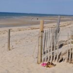 SCENIC SIX Is this the best Cape Cod town? 3 min read