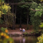 Fish Something fishy? Large groups of dead fish spotted in Boston, Worcester ponds May 27, 2026 | 9:24 pm