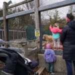 zoo