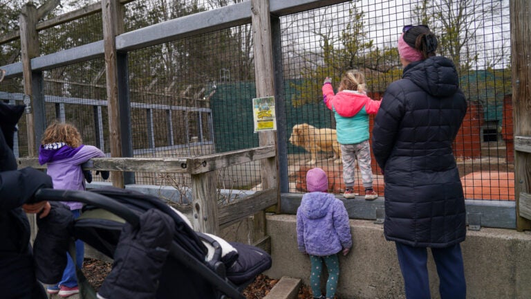 zoo