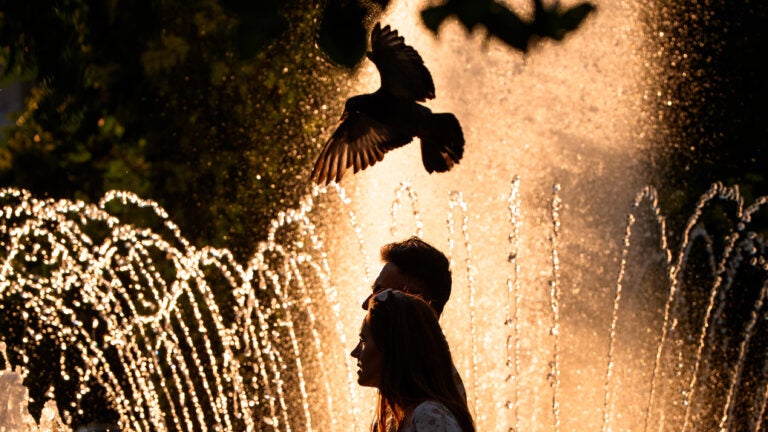 France sees around 1,000 additional deaths amid extreme heat