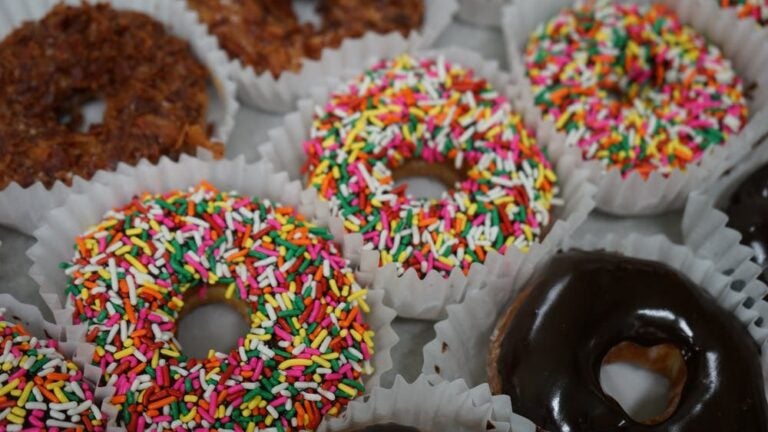 One of America’s best doughnut shops is in Martha’s Vineyard