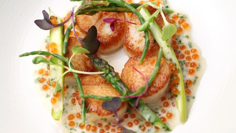 Fallow Kin Cambridge Boston magazine names the Best New Restaurant of 2026