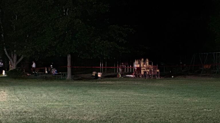 Suspect in custody after man, 58, fatally stabbed in Wellesley park