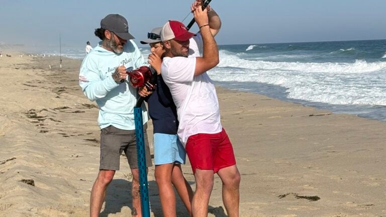 Fisherman reels in white shark off Massachusetts, then snags the hook from its toothy mouth