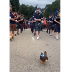 World Cup A duck led the Tartan Army on a march in Providence June 19, 2026 | 10:17 am